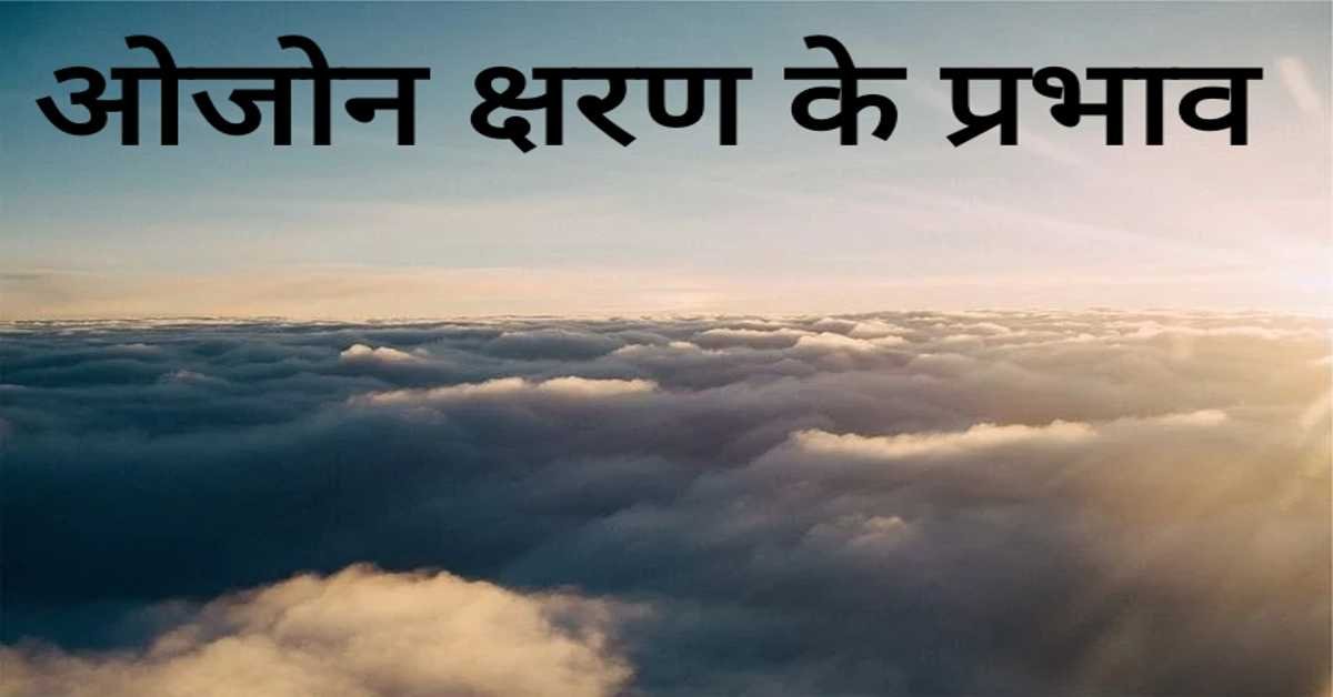 ओजोन क्षरण के प्रभाव | effects of ozone depletion   